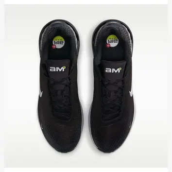 Кросівки Чоловічі Nike Air Max Phoenix FZ5307-007