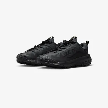 Кросівки Чоловічі Nike ACG Mountain Fly 2 Low GORE-TEX Dark Smoke Grey HF6245-001