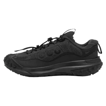 Кросівки Чоловічі Nike ACG Mountain Fly 2 Low GORE-TEX Dark Smoke Grey HF6245-001