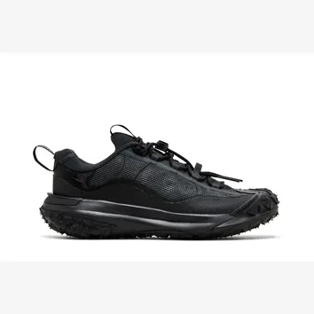 Кросівки Чоловічі Nike ACG Mountain Fly 2 Low GORE-TEX Dark Smoke Grey HF6245-001