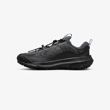 Кросівки Чоловічі Nike ACG Mountain Fly 2 Low GORE-TEX Dark Smoke Grey HF6245-001