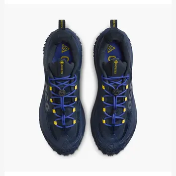 Кросівки чоловічі Nike Acg Mountain Fly 2 Low Gore-Tex Blue