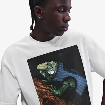 Футболка Чоловіча Nike ACG White Iguana HJ0889-121