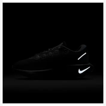 Кроссовки Мужские Nike Motiva GTX Black HM0355-001
