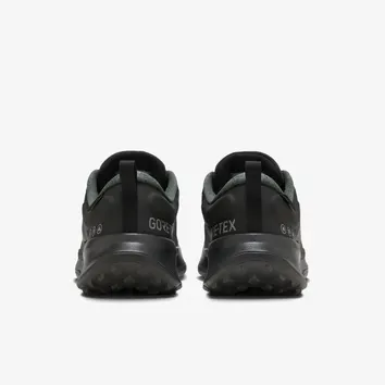 Кросівки Жіночі Nike Wmns Juniper Trail 2 Gtx HM9725-001
