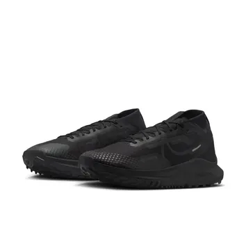 Кросівки Чоловічі Nike Pegasus Trail 4 GTX V2 Black/Anthracite/Velvet Brown HM9728-002