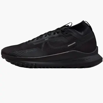 Кросівки Чоловічі Nike Pegasus Trail 4 GTX V2 Black/Anthracite/Velvet Brown HM9728-002