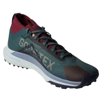 Кросівки Чоловічі Nike React Pegasus Trail 4 GTX V2 HM9728-300