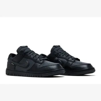 Кросівки Nike Dunk Low GTX Black HQ2053–001