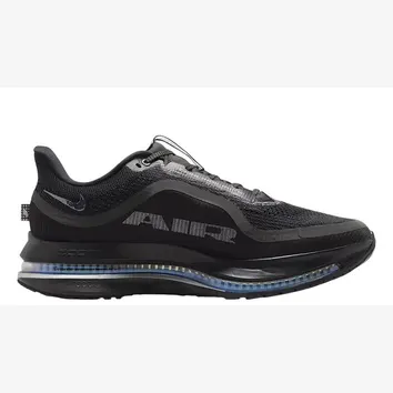 Кросівки Чоловічі Nike Pegasus Premium Black HQ2592-005