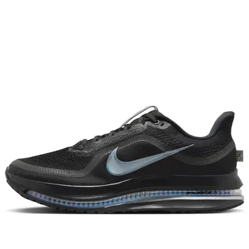 Кросівки Чоловічі Nike Pegasus Premium Black HQ2592-005