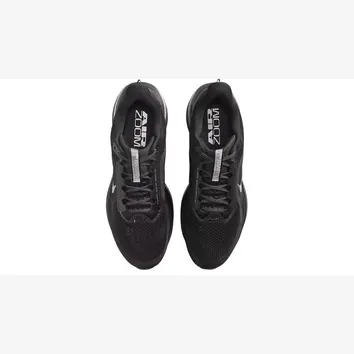 Кросівки Чоловічі Nike Pegasus Premium Black HQ2592-005
