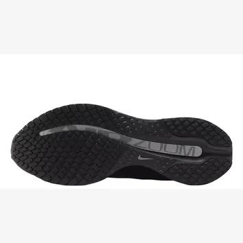 Кросівки Чоловічі Nike Pegasus Premium Black HQ2592-005