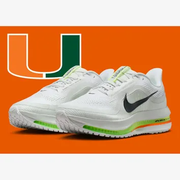 Кроссовки Мужские Nike Pegasus Premium White HQ2592-105