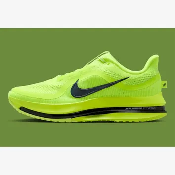 Кроссовки Мужские Nike Pegasus Premium Green HQ2592-700