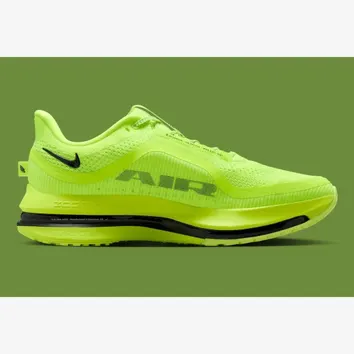 Кроссовки Мужские Nike Pegasus Premium Green HQ2592-700