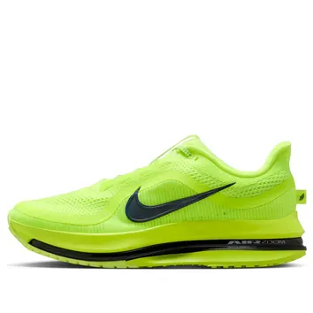 Кроссовки Мужские Nike Pegasus Premium Green HQ2592-700