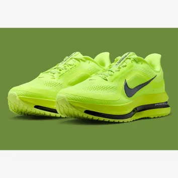 Кроссовки Мужские Nike Pegasus Premium Green HQ2592-700