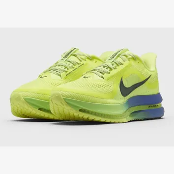 Кросівки Чоловічі Nike Pegasus Premium HQ2592-702
