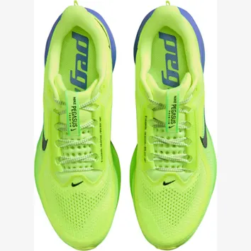 Кросівки Чоловічі Nike Pegasus Premium HQ2592-702
