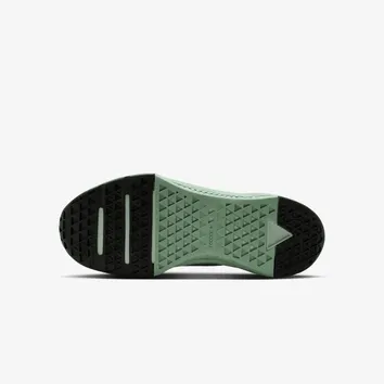 Кросівки Жіночі Nike Metcon 10 HQ2620-301