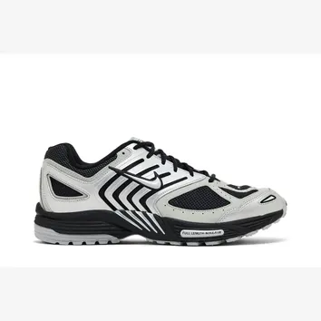 Кросівки Чоловічі Nike AIR Pegasus 2005 Silver Metallic HQ5403-001