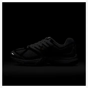 Кросівки Чоловічі Nike Pegasus 2k HQ5403-103
