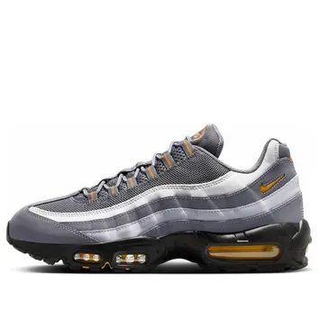 Кросівки Чоловічі Nike Air Max 95 Cool Grey Sundial HV6062-002