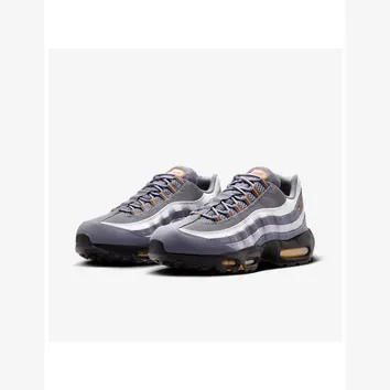 Кросівки Чоловічі Nike Air Max 95 Cool Grey Sundial HV6062-002