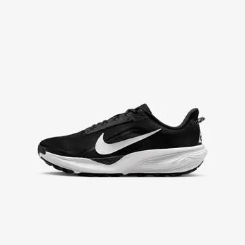 Кросівки Чоловічі Nike Pegasus Trail HV8116-001