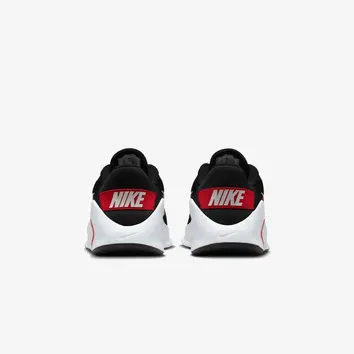 Кросівки Чоловічі Nike Flex Train HV9972-004