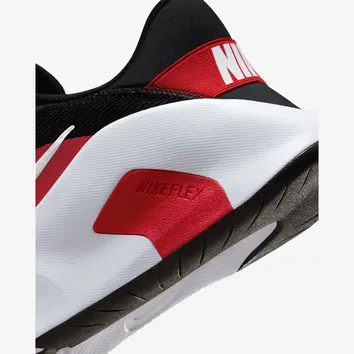 Кросівки Чоловічі Nike Flex Train HV9972-004