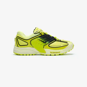 Кросівки Nike Air Pegasus Wave Light Lemon Twist IB0612-700