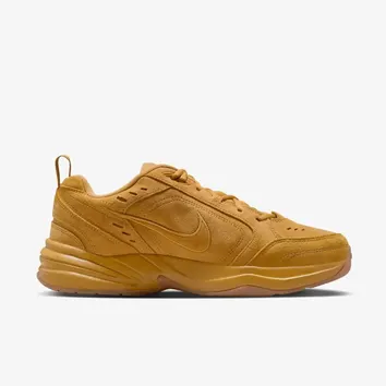 Кросівки Чоловічі Nike Air Monarch SE IB2281-700