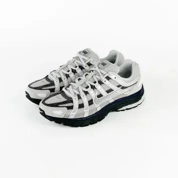 Кросівки Жіночі Nike P6000 Multicolor IB3081-001