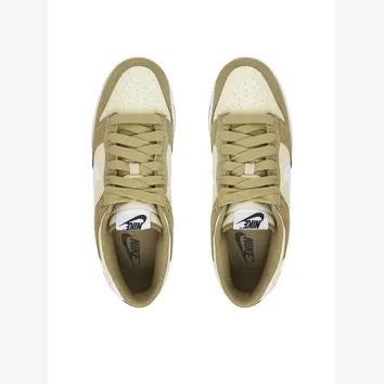 Кросівки Чоловічі Nike DUNK LOW RETRO SE IB6399-200
