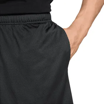 Air Jordan Dri-fit shorts