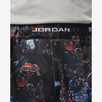 Шорти Чоловічі Jordan Flight Printed Cat Scratch IF1841-010