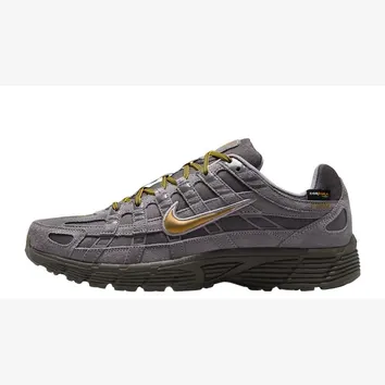 Кросівки Чоловічі Nike P-6000 Premium Cordura Grey IH0946-201