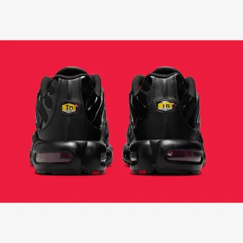 Кросівки Чоловічі Nike Air Max Plus IH4459-001
