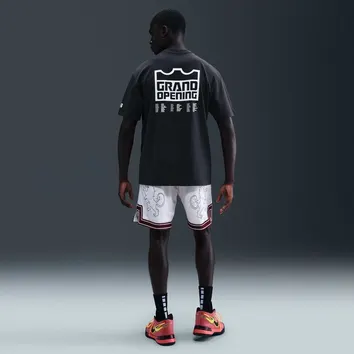 Футболка Чоловіча Nike Lebron IH8544 IH8544-045