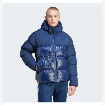 Куртка Чоловіча adidas Adicolor Down Regen Hooded Puffer Jacket Blue IL2570