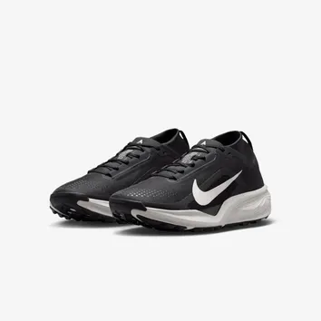 Кросівки Чоловічі Nike Pegasus Trail Gore-Tex IQ1084-001