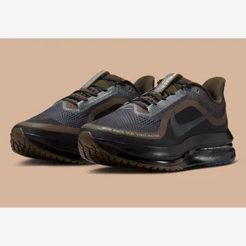 Кроссовки Мужские Nike Pegasus Premium IQ3435-045
