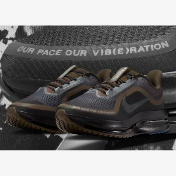 Кроссовки Мужские Nike Pegasus Premium IQ3435-045