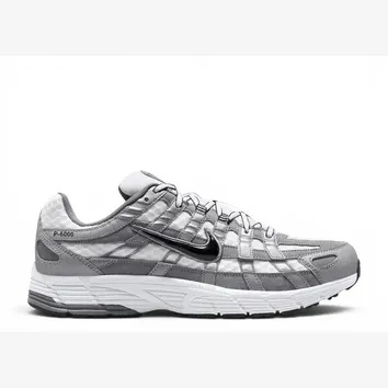 Кросівки Nike P-6000 White/Metallic Cool Grey/Cool Grey/Black IR2004-100