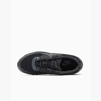Кросівки Чоловічі Nike Air Max 90 Black IV4695-001