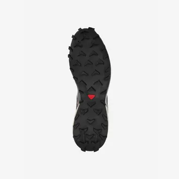 Кросівки Чоловічі Salomon Speedcross 3 Quarry Bleached Sand L41466000