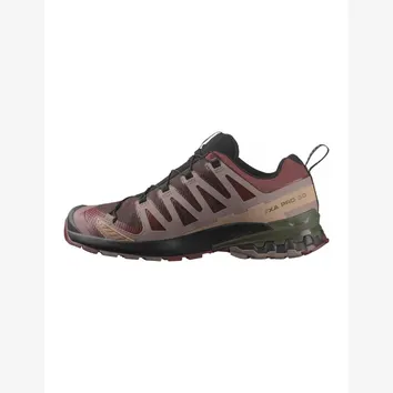 Кросівки Чоловічі Salomon XA Pro 3D V9 GTX Black Coffee/Rum Raisin/Olive Night L47583500