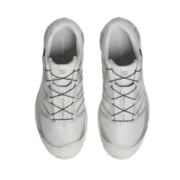 Кросівки Чоловічі Salomon XT-Pathway GTX Lunar Rock Alloy L47730900